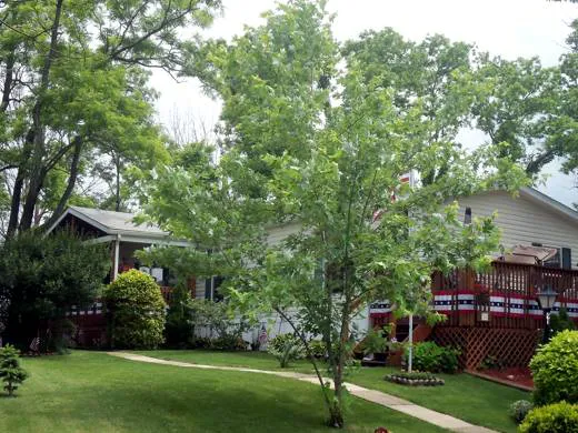 Virginia Hills Manufactured Home Community Picture 7
