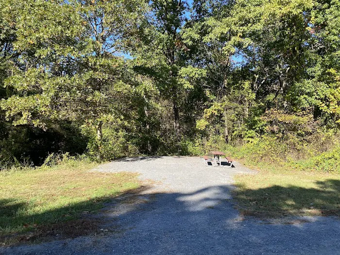 Lake Fairfax Park Campground Picture 3