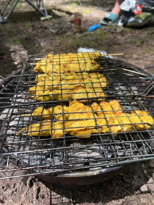 Burke Lake Campgrounds Picture 10