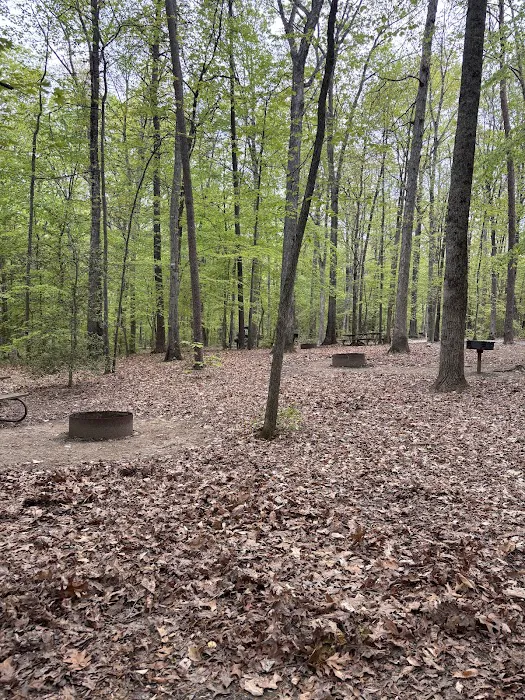 Burke Lake Campgrounds Picture 6