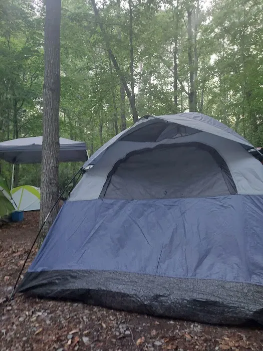 Burke Lake Campgrounds Picture 4