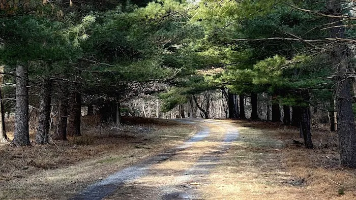 CW Camping Picture 1