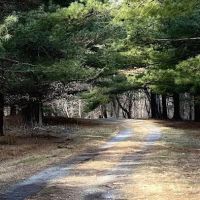 CW Camping ico