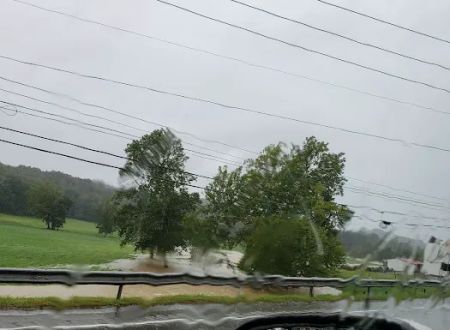 Pine Tree Mobile Home Park