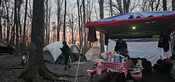 Little Bennett Campground Loop A Tent Area Picture 9