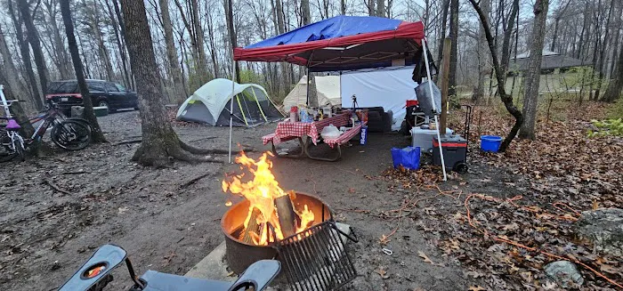 Little Bennett Campground Loop A Tent Area Picture 6