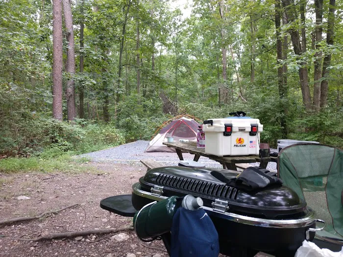 Little Bennett Campground Loop A Tent Area Picture 4