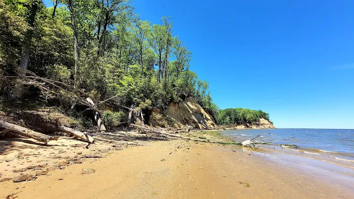 Calvert Cliffs Campground Picture 2
