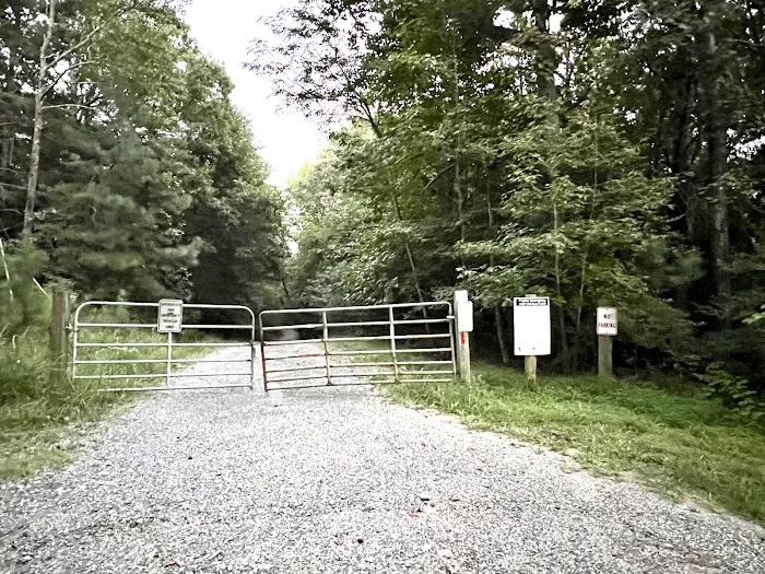 Calvert Cliffs Campground Picture 6