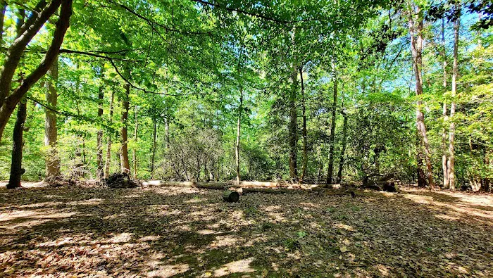 Calvert Cliffs Campground Picture 5