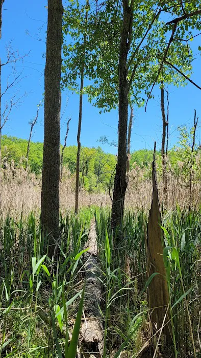 Calvert Cliffs Campground Picture 3
