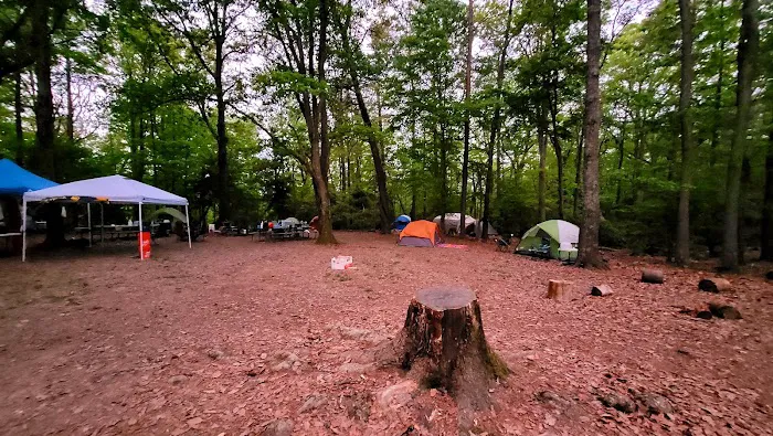 Calvert Cliffs Campground Picture 9
