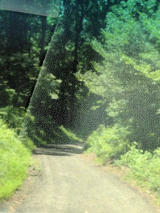 Chesapeake Ranch Estates Campgrounds Picture 10