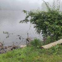 Peachey's Campground ico
