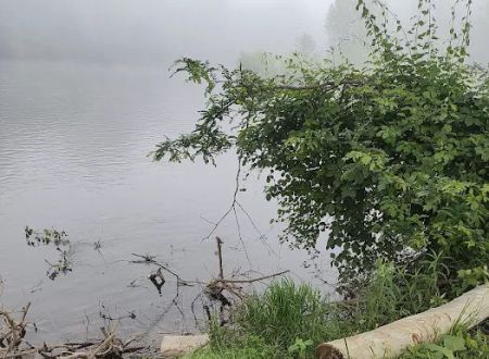 Peachey's Campground