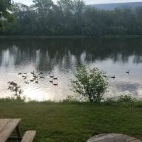 Bowser's Riverfront Campground ico