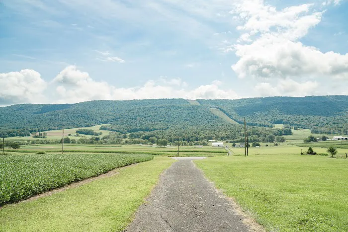 Airydale Retreat Picture 7