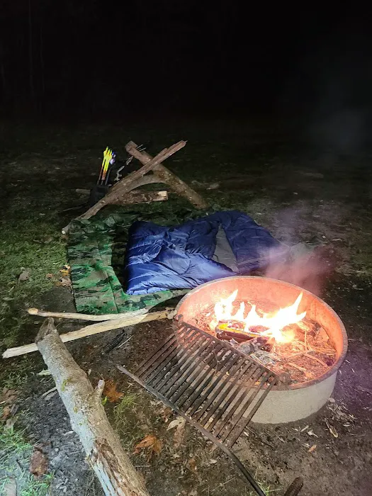 Rothrock State Forest Campsite #3 Picture 7