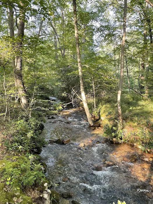 Rothrock State Forest Campsite #3 Picture 3