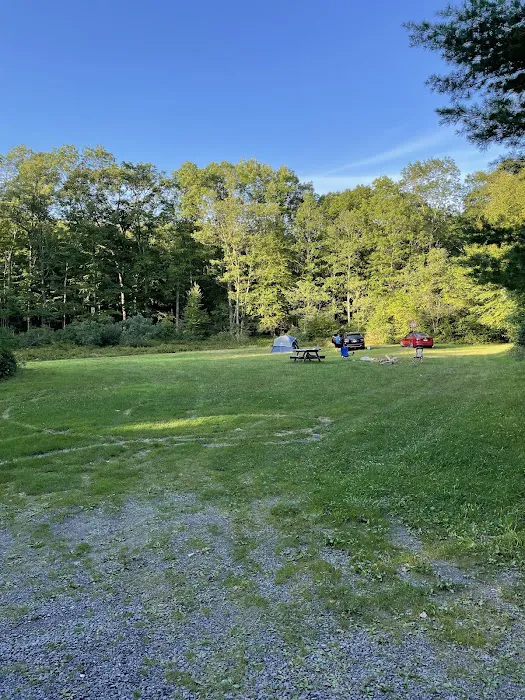 Rothrock State Forest Campsite #3 Picture 5