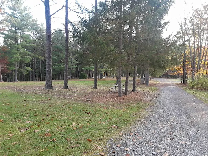 Camp Golden Pond Picture 9