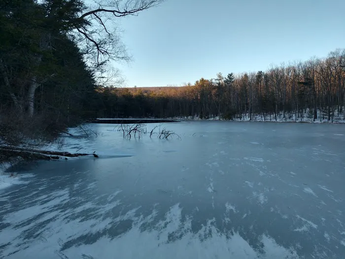 Camp Golden Pond Picture 10