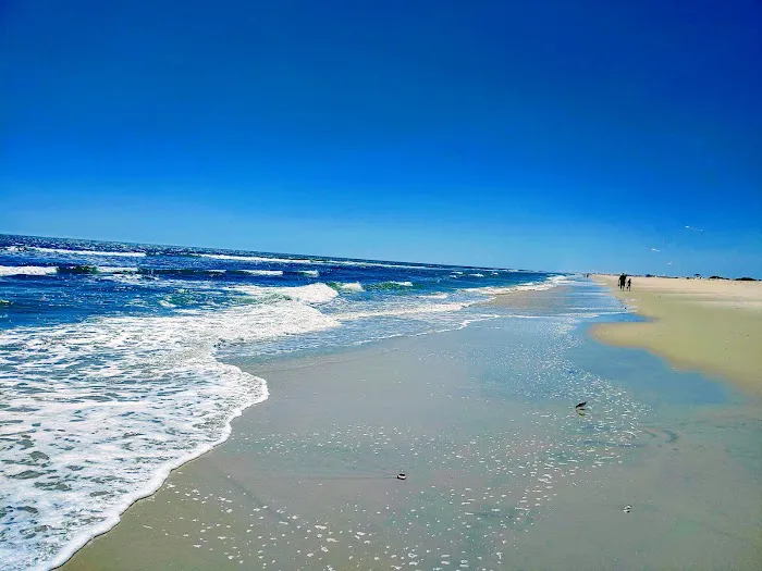Oceanside Walk-In Campground Picture 3