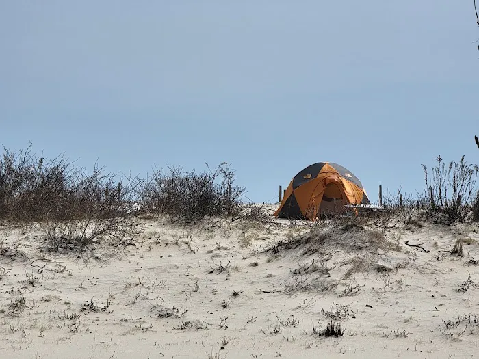 Oceanside Walk-In Campground Picture 9