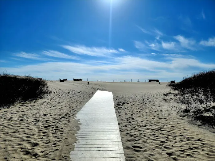 Oceanside Walk-In Campground Picture 5