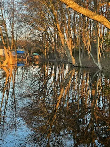 Camp Thomas by the Lake Picture 1