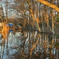 Camp Thomas by the Lake ico