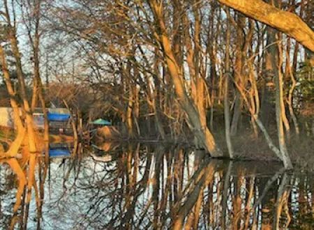 Camp Thomas by the Lake