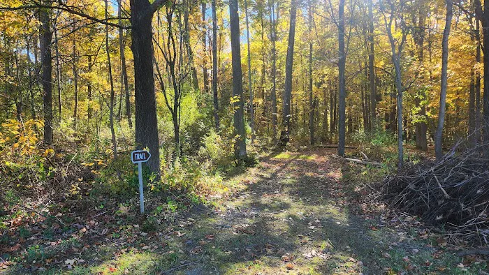 Lakeview Camp Sites Picture 2