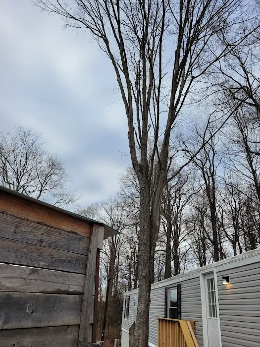 Twin Lakes Mobile Home & RV Park Picture 3