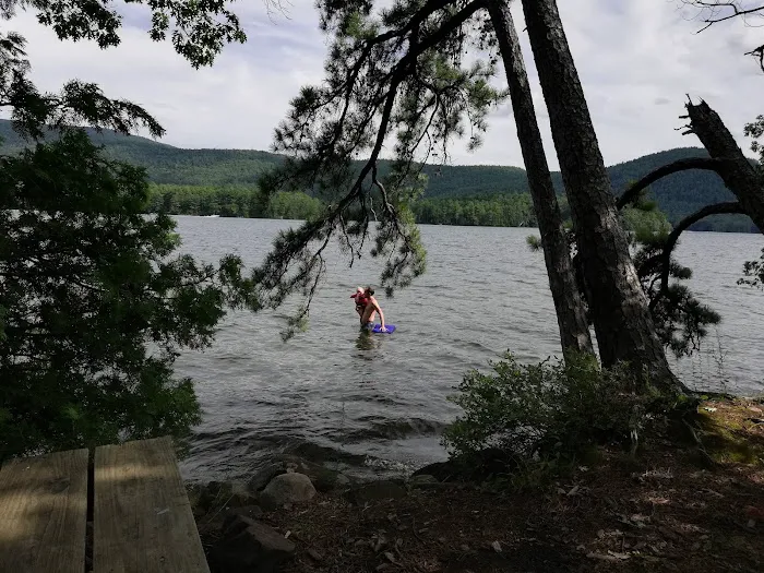 Bass Island Campsite 1 Picture 9