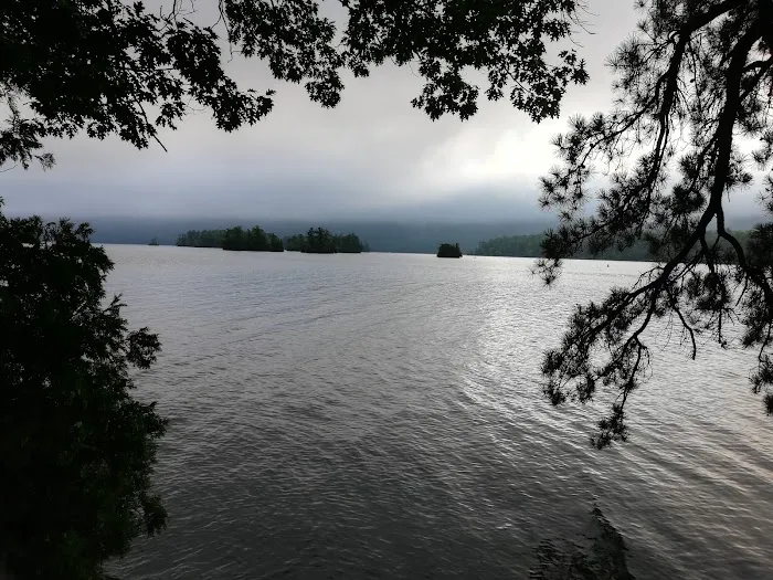 Bass Island Campsite 1 Picture 7
