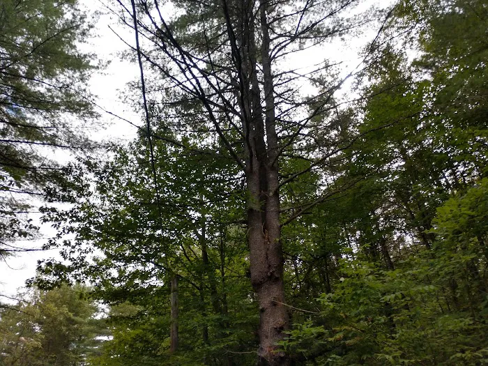 Smoke Rise Campground & Cabins Picture 10