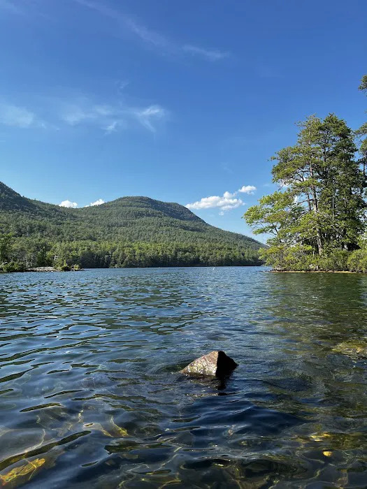 Gourd Island Campground #1 Picture 1