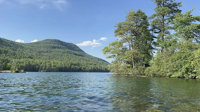 Gourd Island Campground #1 Picture 3
