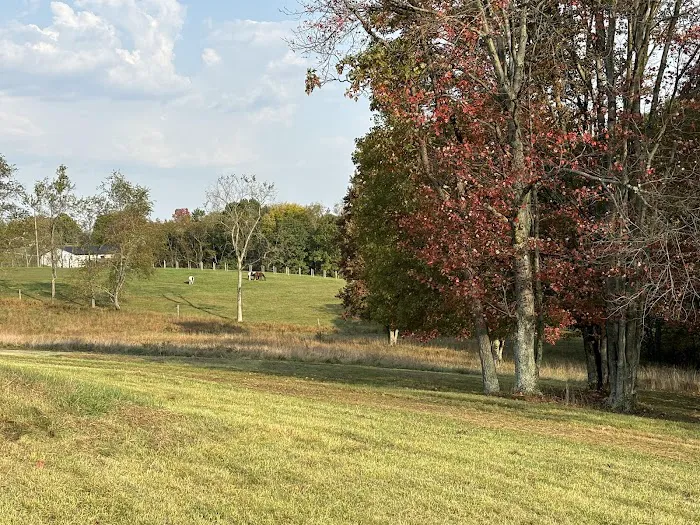 Starry Fields RV Park Picture 3