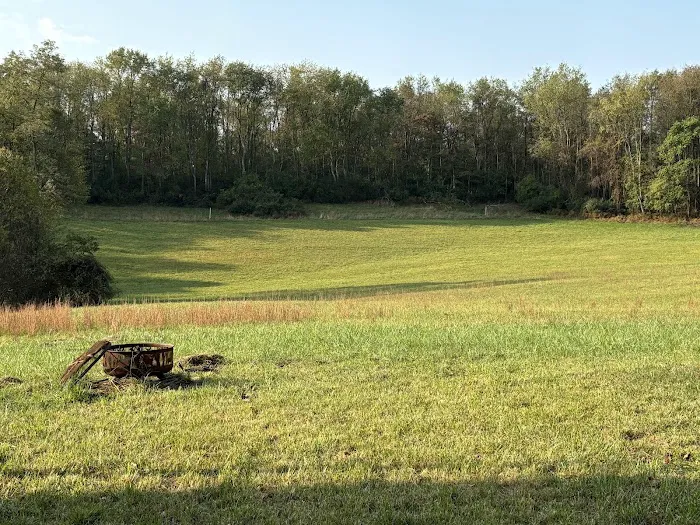 Starry Fields RV Park Picture 6
