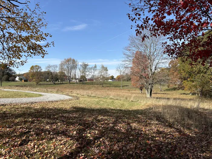 Starry Fields RV Park Picture 4