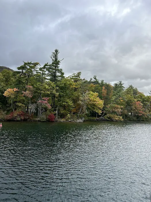 Fork Island Campground Picture 1