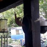 Lakeside Mobile Home Park