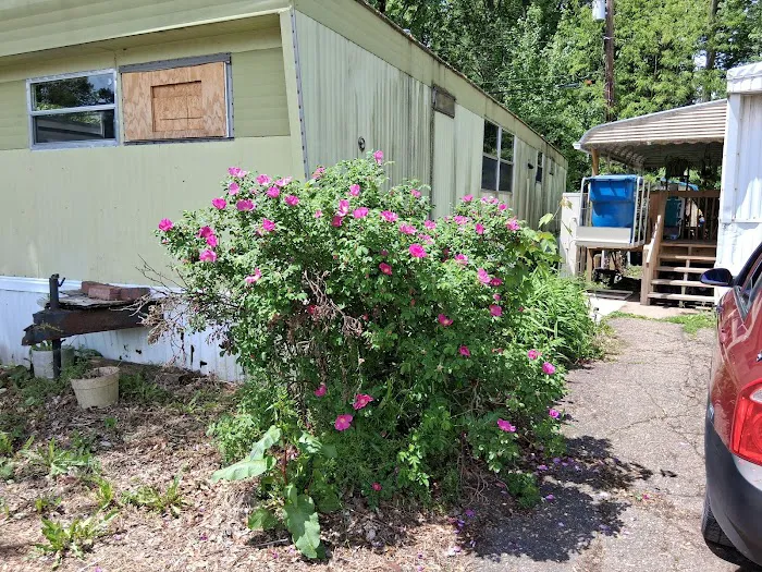 Lakeside Mobile Home Park Picture 10