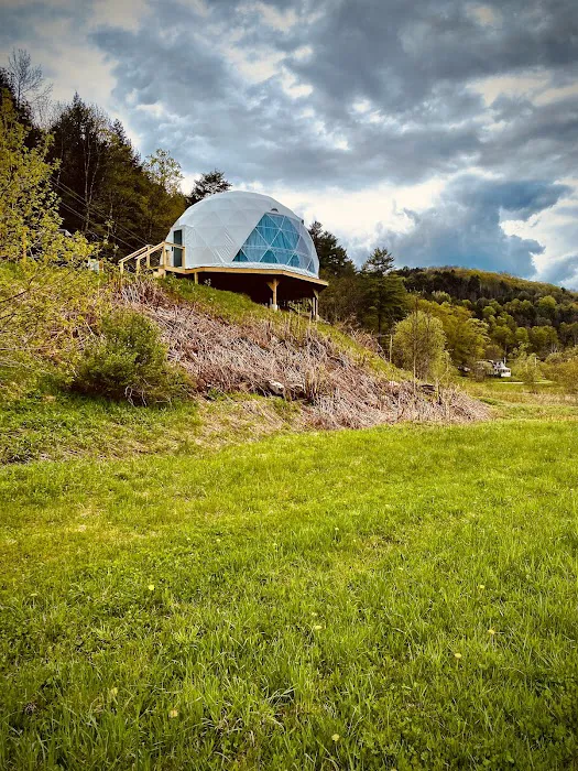 Dome@Meadows Picture 2