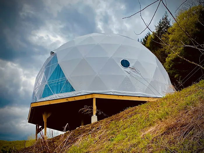 Dome@Meadows Picture 3