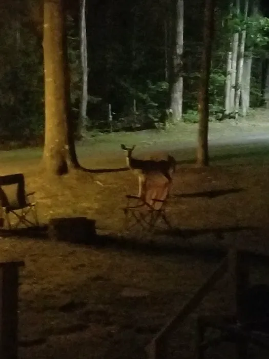 Crescent Campsites Picture 7