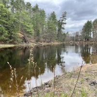 Maple Grove Campground ico