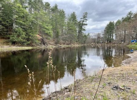 Maple Grove Campground